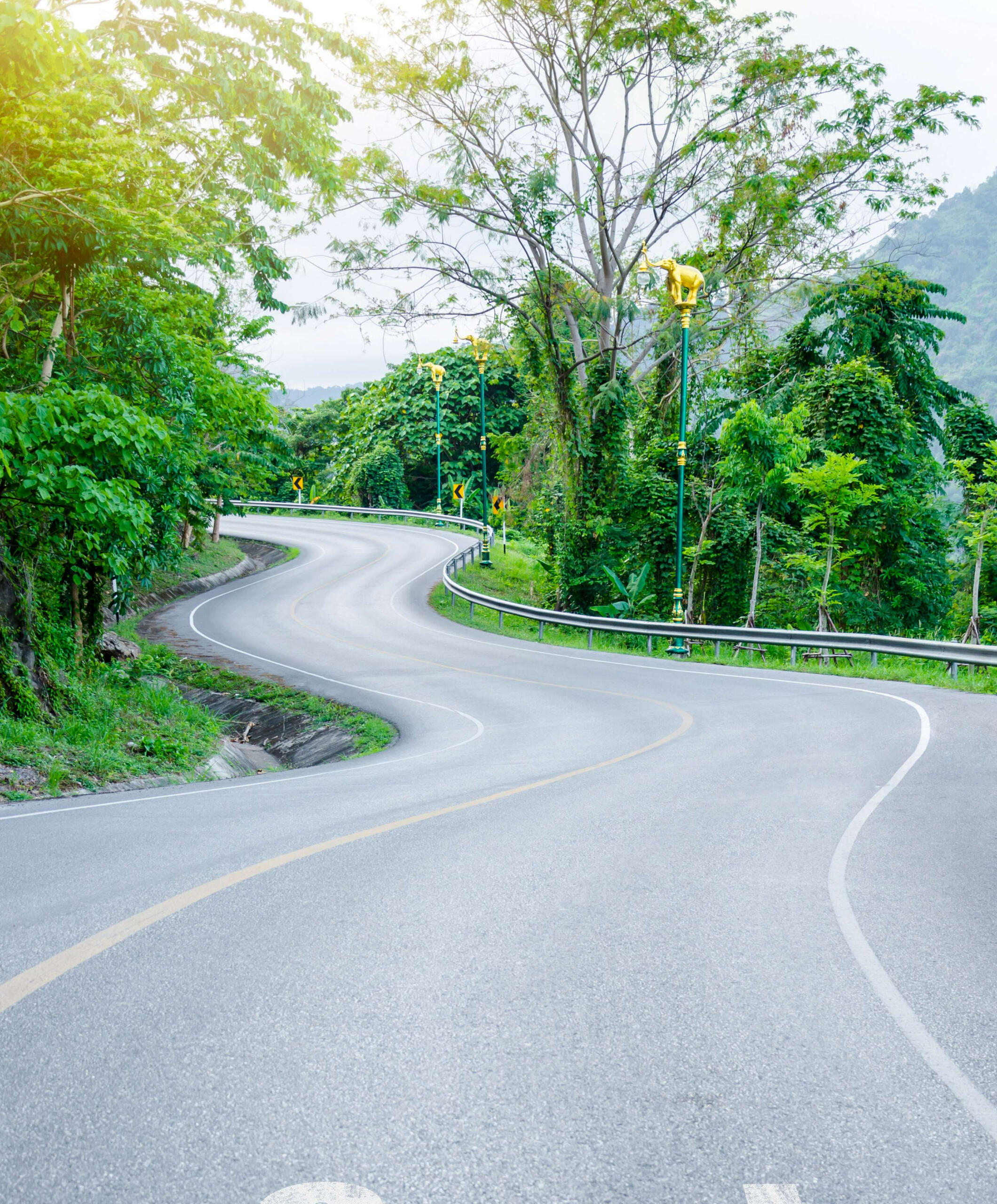 Professional Coaching from an ADAPT Certified Functional Health Coach